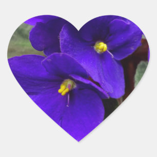 African Violet Heart Sticker