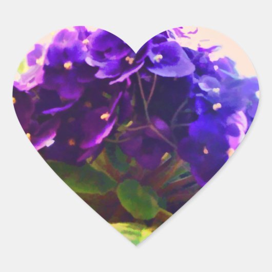 African Violets Flower Sticker (Voorkant)