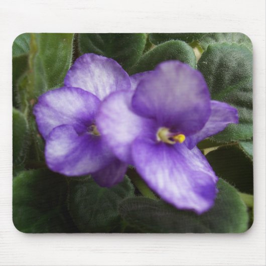 African Violets Mousepad Muismat (Voorkant)