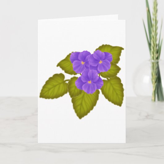 African Violets Paarse Kaart (Voorkant)