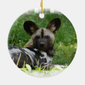 African Wild Dog Photo Ornament (Achterkant)