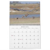 AFRICAN WILD DOGS KALENDER (Mar 2026)