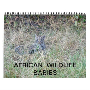 AFRICAN WILDLIFE BABIES-kalender Kalender