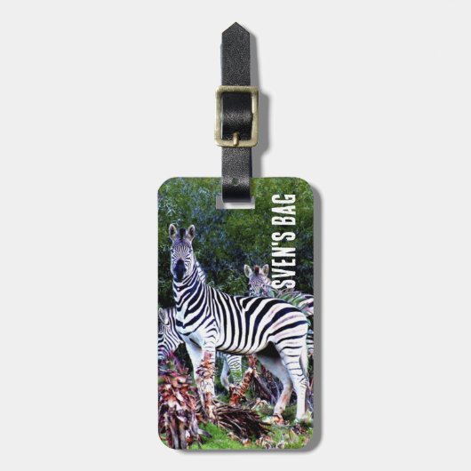 African Zebra Aloe Bagagelabel (Voorkant verticaal)