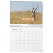 Afrika 2020 Wildlife Kalender (Feb 2027)