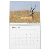 Afrika 2020 Wildlife Kalender (Feb 2026)