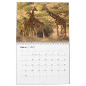 Afrika Agenda 2015 van McDonald Wildlife Kalender (Feb 2027)