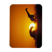 Afrika, Botswana, Chobe National Park, Giraffe 2 Magneet (Verticaal)