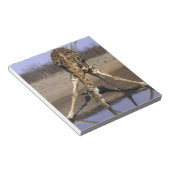 Afrika, Botswana, Chobe National Park, Giraffe Notitieblok (Schuin)