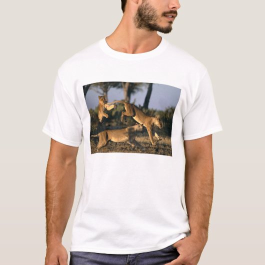 Afrika, Botswana, Chobe National Park, Lionesses T-shirt (Voorkant)