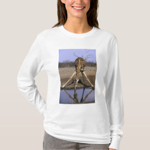 Afrika, Botswana, Nationaal park Chobe, Giraffe T-shirt