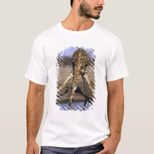 Afrika, Botswana, Nationaal park Chobe, Giraffe T-shirt