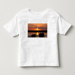 Afrika, Botswana, Nationaal park Chobe, Kudde Kinder Shirts