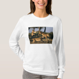 Afrika, Botswana, Nationaal park Chobe, Leeuwinnen T-shirt