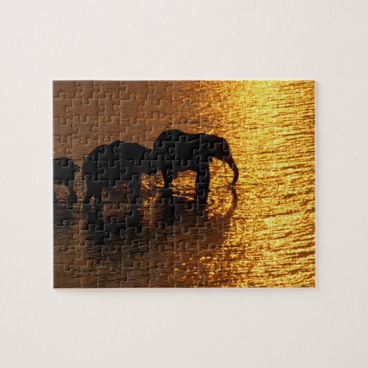 Afrika, Botswana, Okavango Delta. Afrikaanse Legpuzzel (Horizontaal)