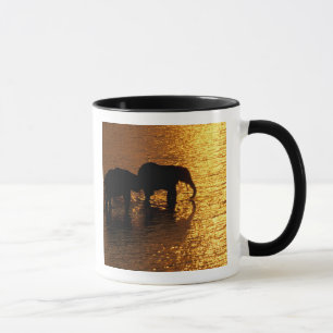 Afrika, Botswana, Okavango Delta. Afrikaanse Mok