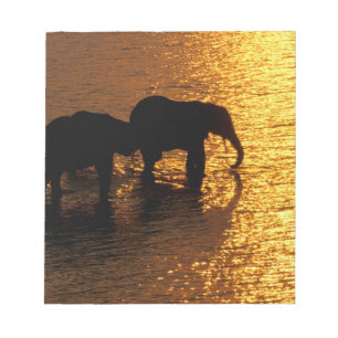 Afrika, Botswana, Okavango Delta. Afrikaanse Notitieblok