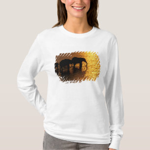 Afrika, Botswana, Okavango Delta. Afrikaanse T-shirt