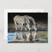 Afrika, Botswana, Okavango Delta, Davison Camp Briefkaart (Voorkant / Achterkant)