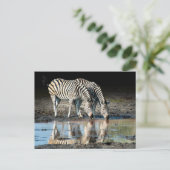 Afrika, Botswana, Okavango Delta, Davison Camp Briefkaart (Staand voorkant)