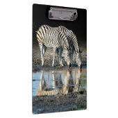 Afrika, Botswana, Okavango Delta, Davison Camp Klembord (Rechts)