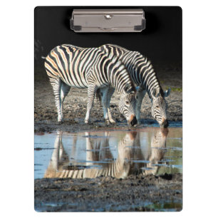 Afrika, Botswana, Okavango Delta, Davison Camp Klembord