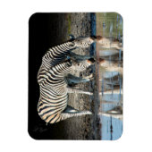 Afrika, Botswana, Okavango Delta, Davison Camp Magneet (Verticaal)