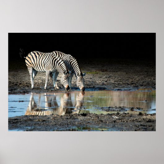 Afrika,Botswana, Okavango Delta, Davison Camp Poster (Voorkant)