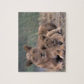 Afrika, Botswana, Okavango Delta. Lion Legpuzzel (Verticaal)