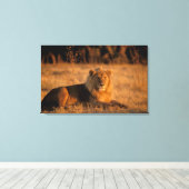 Afrika, Botswana, Okavango Delta. Lion (Panthera) Canvas Afdruk (Insitu (Houten vloer))