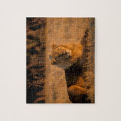 Afrika, Botswana, Okavango Delta. Lion (Panthera) Legpuzzel (Verticaal)