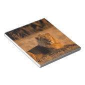 Afrika, Botswana, Okavango Delta. Lion (Panthera) Notitieblok (Schuin)