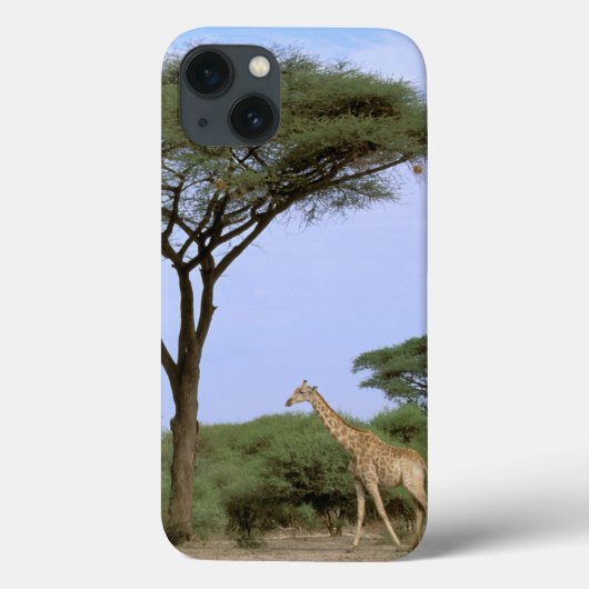 Afrika, Botswana, Okavango Delta. Zuidelijk Case-Mate iPhone Case (Achterkant)
