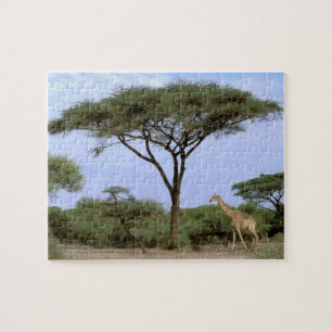 Afrika, Botswana, Okavango Delta. Zuidelijk Legpuzzel