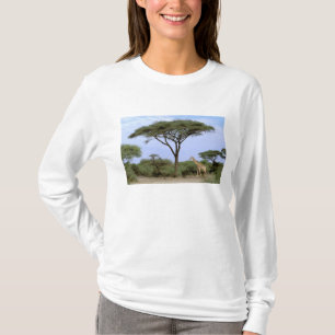 Afrika, Botswana, Okavango Delta. Zuidelijk T-shirt