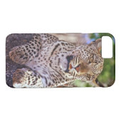Afrika, Botswana, Okvango Delta, wilde luipaard. 2 Case-Mate iPhone Case (Achterkant (Horizontaal))