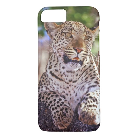 Afrika, Botswana, Okvango Delta, wilde luipaard. 2 Case-Mate iPhone Case (Achterkant)