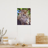 Afrika, Botswana, Okvango Delta, wilde luipaard. 2 Poster (Keuken)