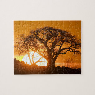 Afrika, Botswana, Ondergaande zon schetst Baobab i Legpuzzel
