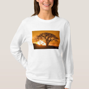 Afrika, Botswana, zonnesilhouettes Baobab T-shirt