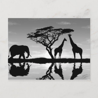 Afrika Briefkaart