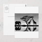 Afrika Briefkaart (Voorkant / Achterkant)