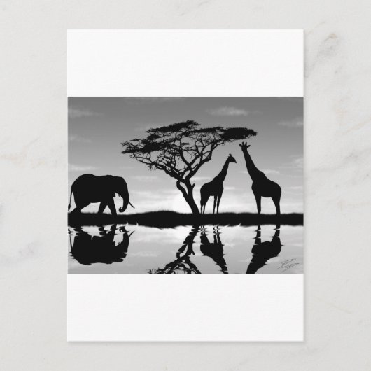 Afrika Briefkaart (Voorkant)