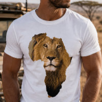 Afrika Continent Afrikaanse Leeuw Dier