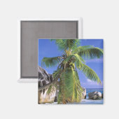 Afrika, de Seychellen, La Digue Island. Graniet 2 Magneet (Voorkant / Achterkant)