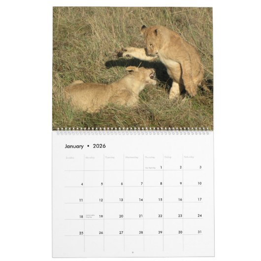 AFRIKA - Een miljoen dieren kalender 2014 (twee bl (Jan 2026)