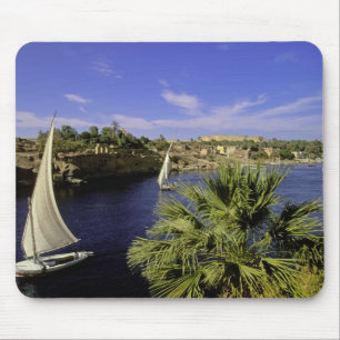 Afrika, Egypte, Boven-Egypte, Aswan. Feluccas 2 Muismat