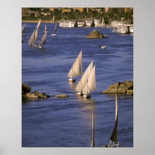 Afrika, Egypte, Boven-Egypte, Aswan. Feluccas Poster
