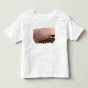 Afrika, Egypte, Caïro, Giza, Giza piramides bij Kinder Shirts