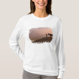 Afrika, Egypte, Caïro, Giza, Giza piramides bij T-shirt